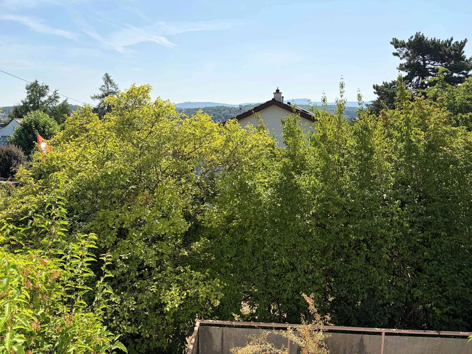 Freistehendes 7 ½-Zimmer Einfamilienhaus mit Sitzplatz, Garage, Garten – photo 3 of 13