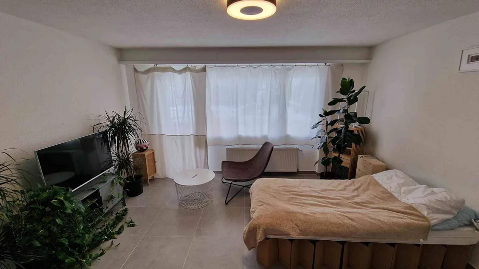 1.5 Zimmer Wohnung