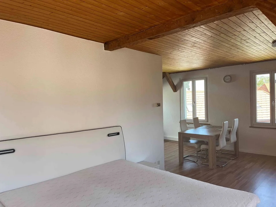 gemütliche 2.5 Zimmerwohnung in Oberdorf SO