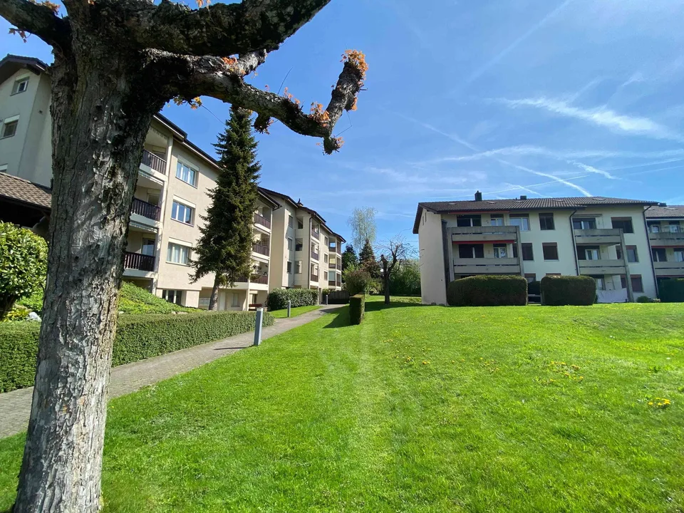 Preiswerte 3.5-Zi. Wohnung an zentraler Lage im Grünen