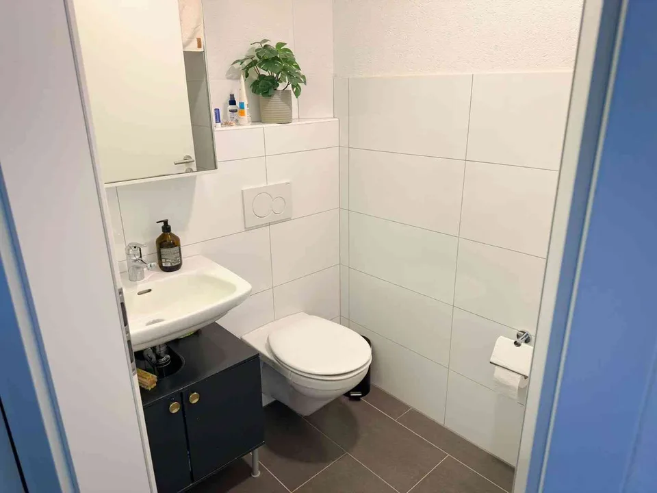 Moderne 5.5-Zimmer-Wohnung mit grossem Garten in Oberwil-Lieli
