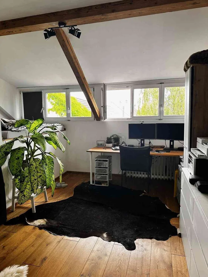 Sonnige Dachloft mit Südterrasse