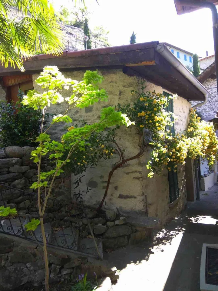 Einfamilienhaus mit Studio in privilegierter, sonniger Hanglage – photo 4 of 13