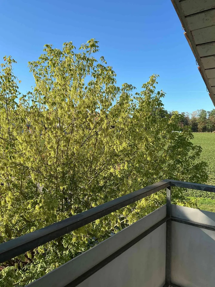 Reiheneck-Einfamilienhaus an ruhiger Lage in Kirchberg zu vermieten