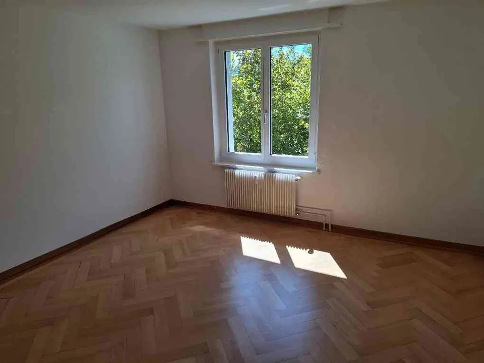 Helle 4-Zimmer-Wohnung in 8259 Wagenhausen