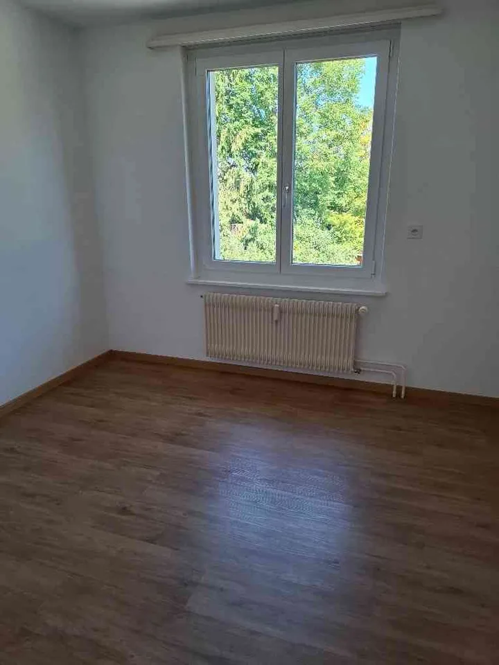 Helle 4-Zimmer-Wohnung in 8259 Wagenhausen