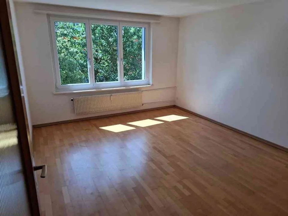 Helle 4-Zimmer-Wohnung in 8259 Wagenhausen