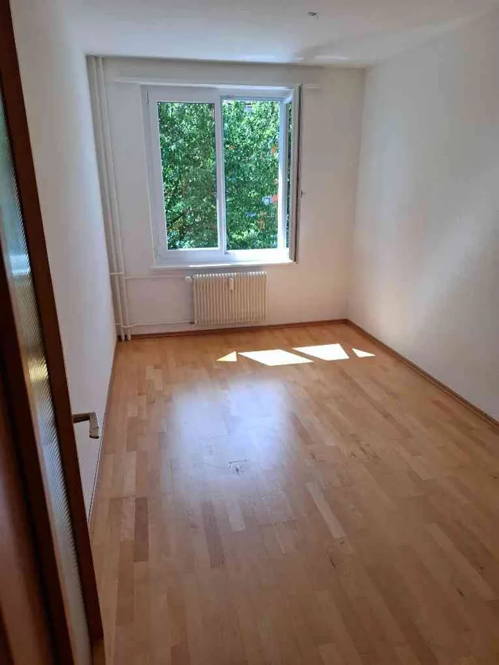 Helle 4-Zimmer-Wohnung in 8259 Wagenhausen
