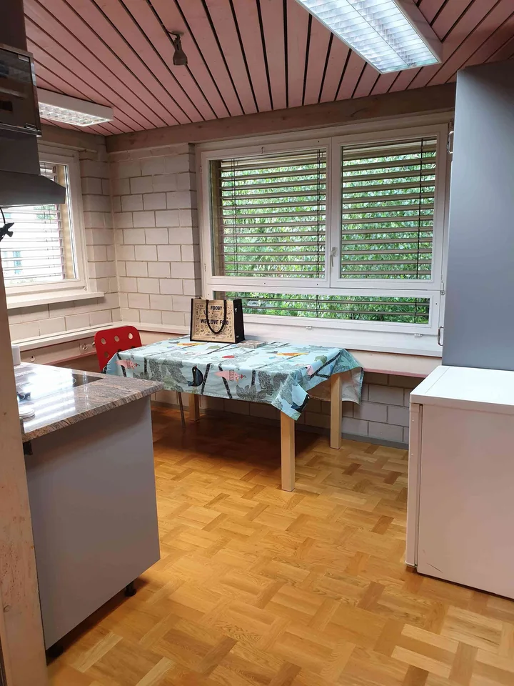 Maisonnette-Wohnung im Brunnenmoos