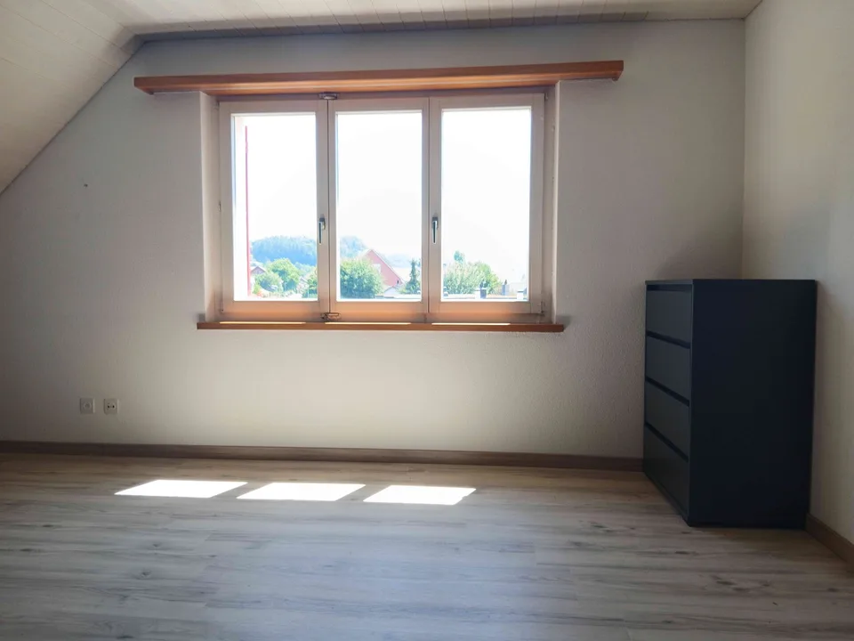 Dachwohnung (Maisonette) mit Galerie in Eglisau