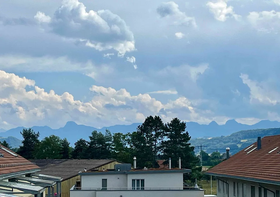 4 Zimmer Wohnung mit schöner Aussicht auf Wald und Berge