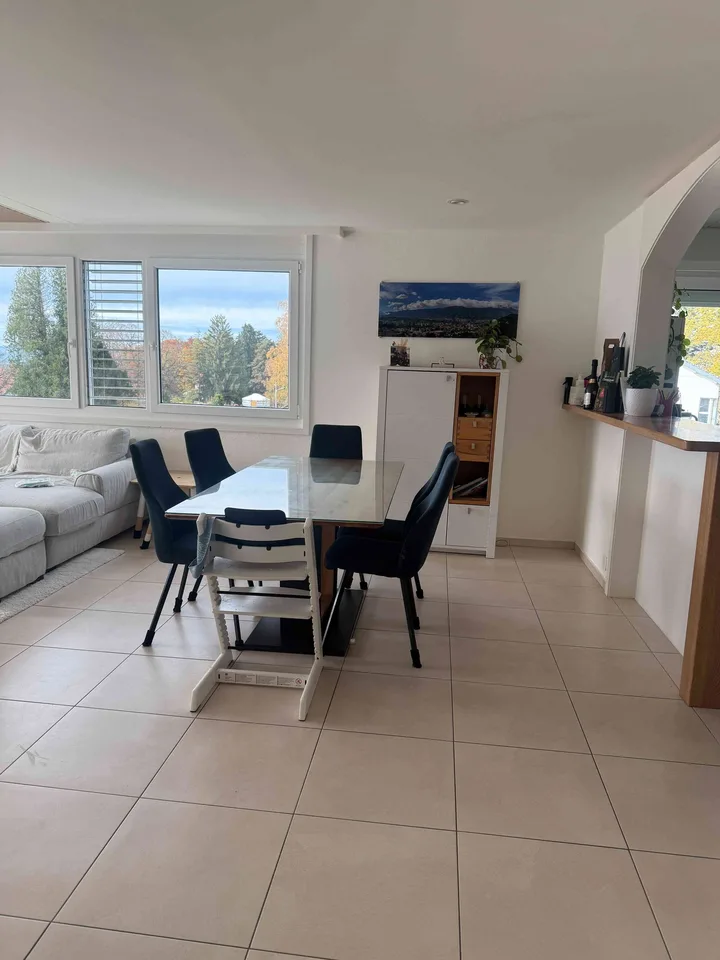 Duplex avec vue sur le lac. Vevey - Chardonne