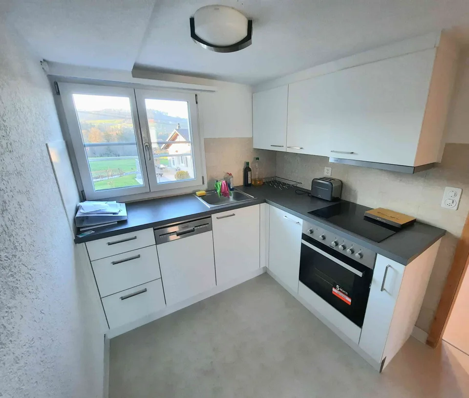 Charmante 1.5-Zi.-Wohnung in Heiden (AR) mit Bodenseesicht
