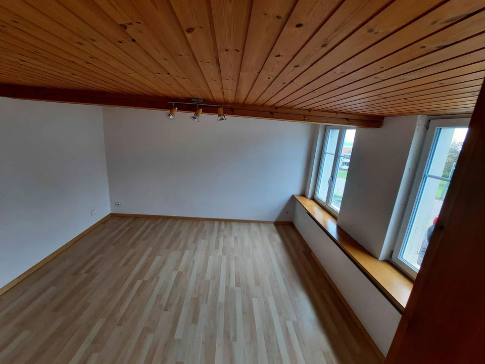 Charmante 1.5-Zi.-Wohnung in Heiden (AR) mit Bodenseesicht