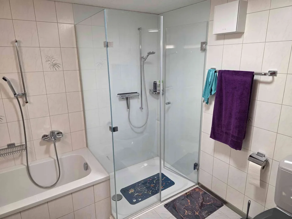 Sehr grosse 4 1/2 Parterrewohnung
