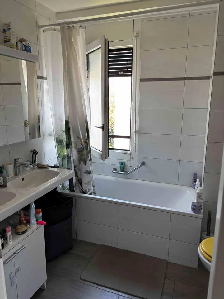 appartement 3.5 pieces traversant