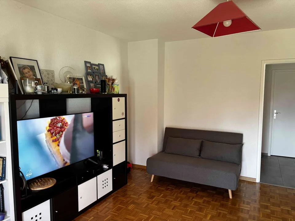 appartement 3.5 pieces traversant