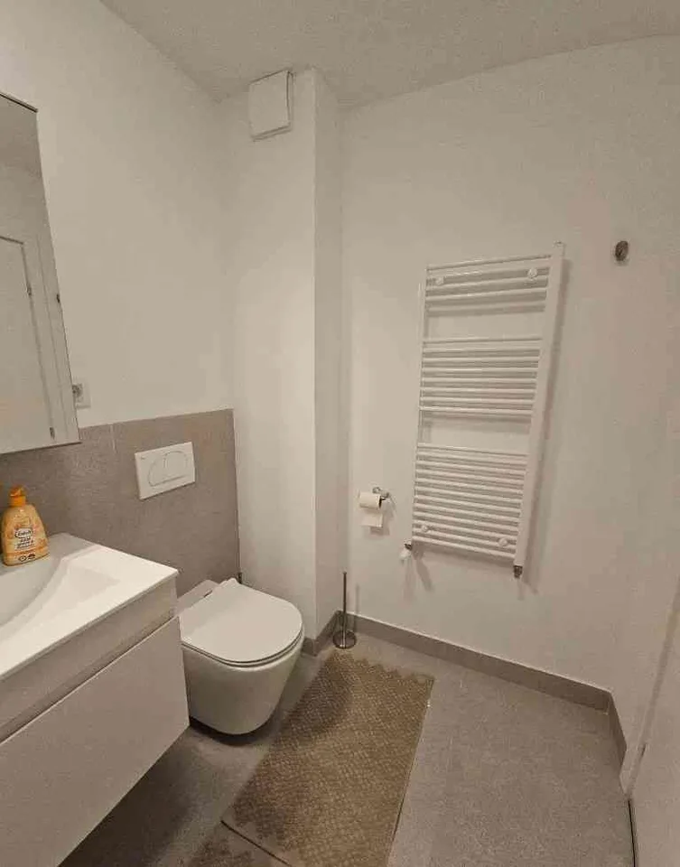 Wohnung in Windisch