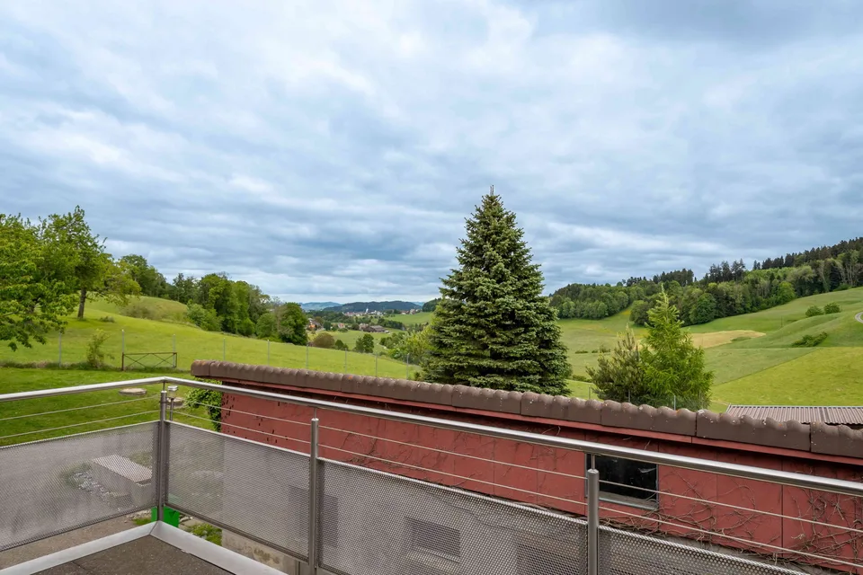 Zuhause im Grünen