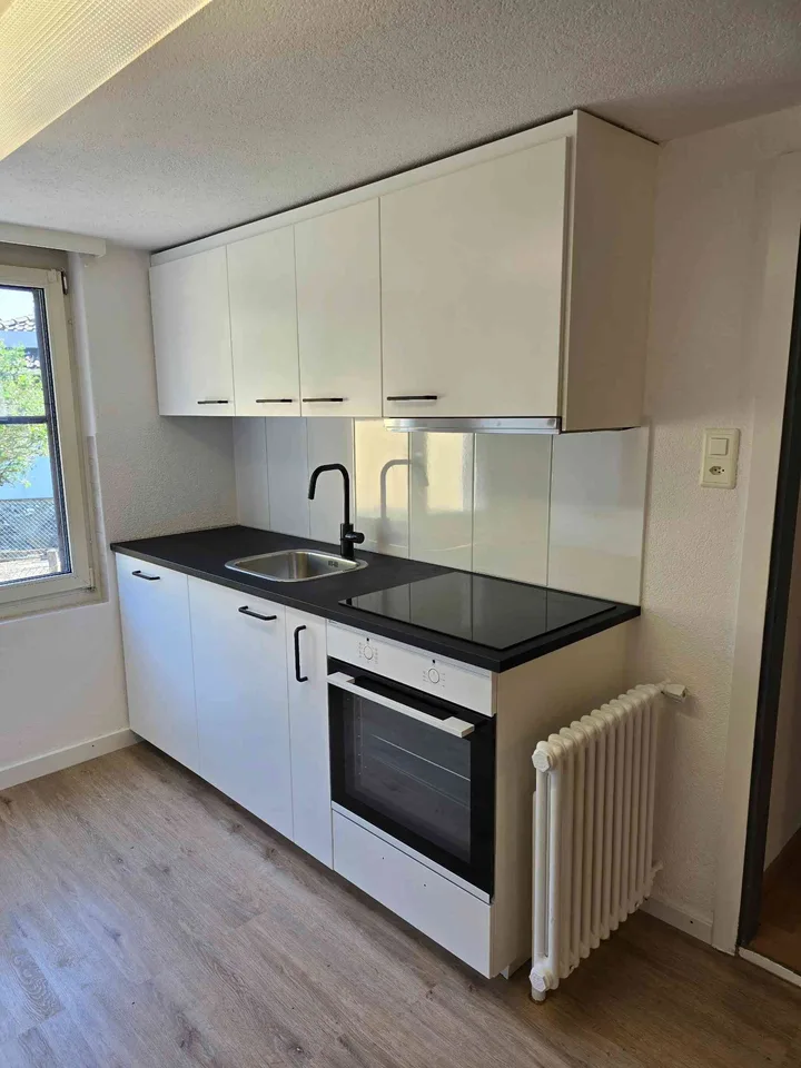 Sanierte grosszügige 3.5 Zimmer Wohnung in Altbau