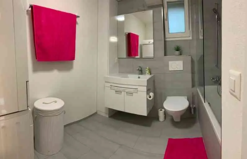 Charmante 2.5-Zimmer-Wohnung in Zug