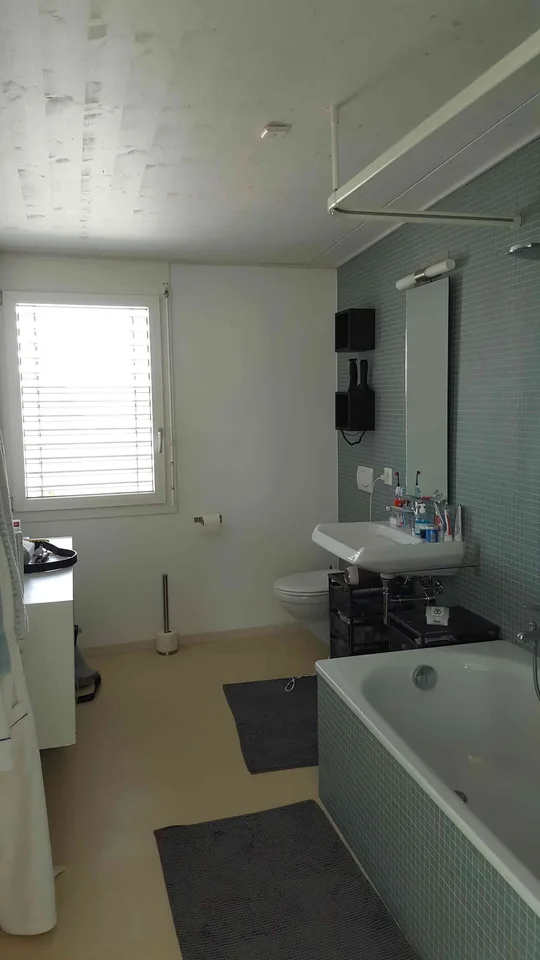 Grosszügige 2,5 Zimmer Attikawohnung 84 m2