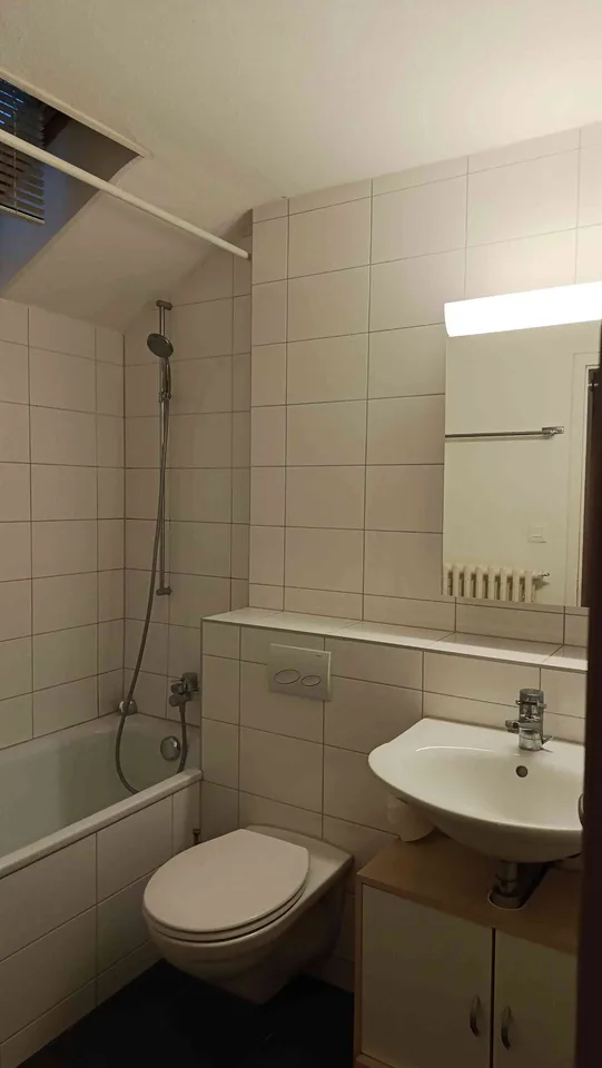 Zollikon Dachwohnung