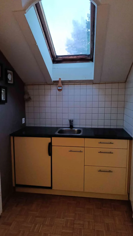 Zollikon Dachwohnung