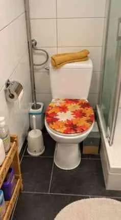 Helle 2.5-Zimmer-Wohnung in Biel/Bienne