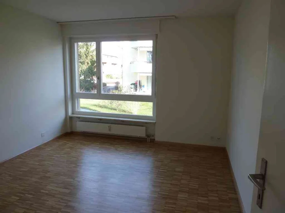 Schöne 4.5 Zimmer Wohnung mit Cheminée