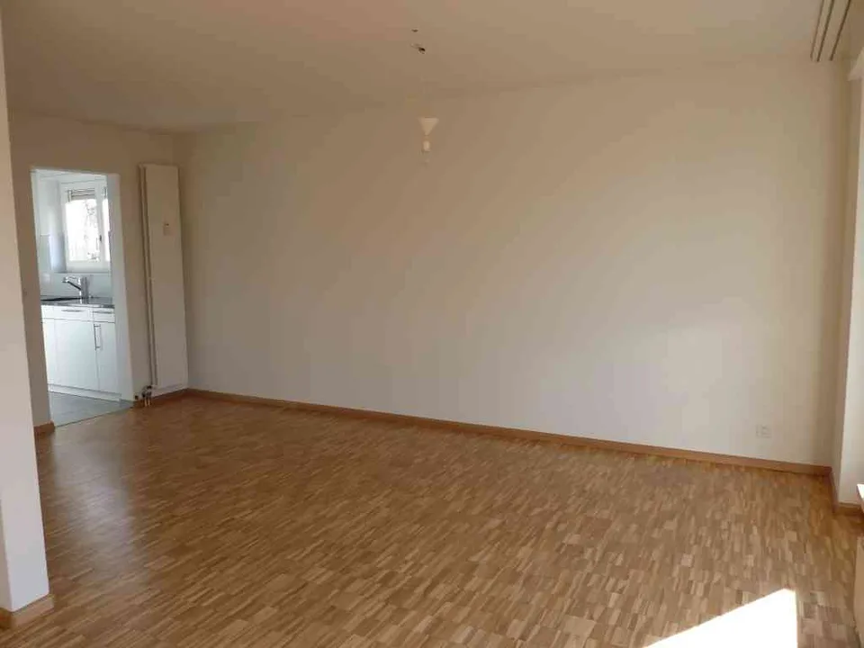 Schöne 4.5 Zimmer Wohnung mit Cheminée