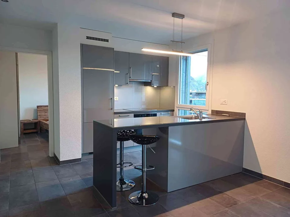 A louer : Appartement 2 ½, 45 m2, CHF 1290.- charges + 1 parc inclus
