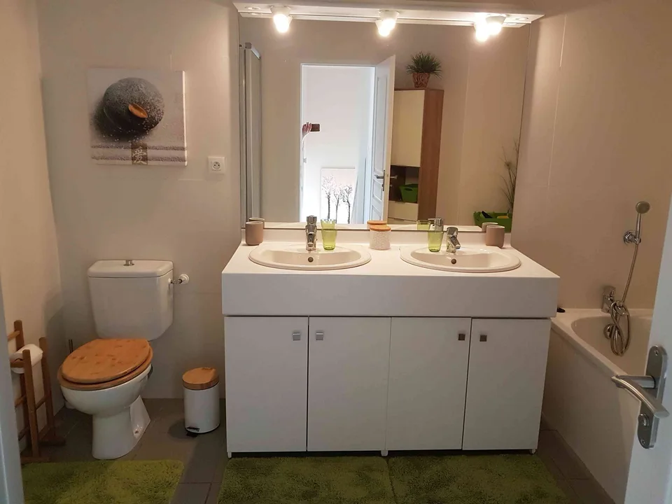 FURNISHED VILLA FOR RENT IN ST-GENIS POUILLY