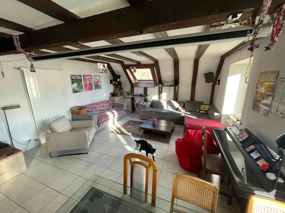 Duplex spacieux et plein de charme