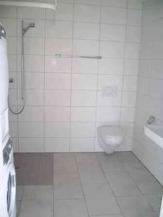 Schöne, sonnige und zentralgelegene 2.5-Zimmer-Wohnung