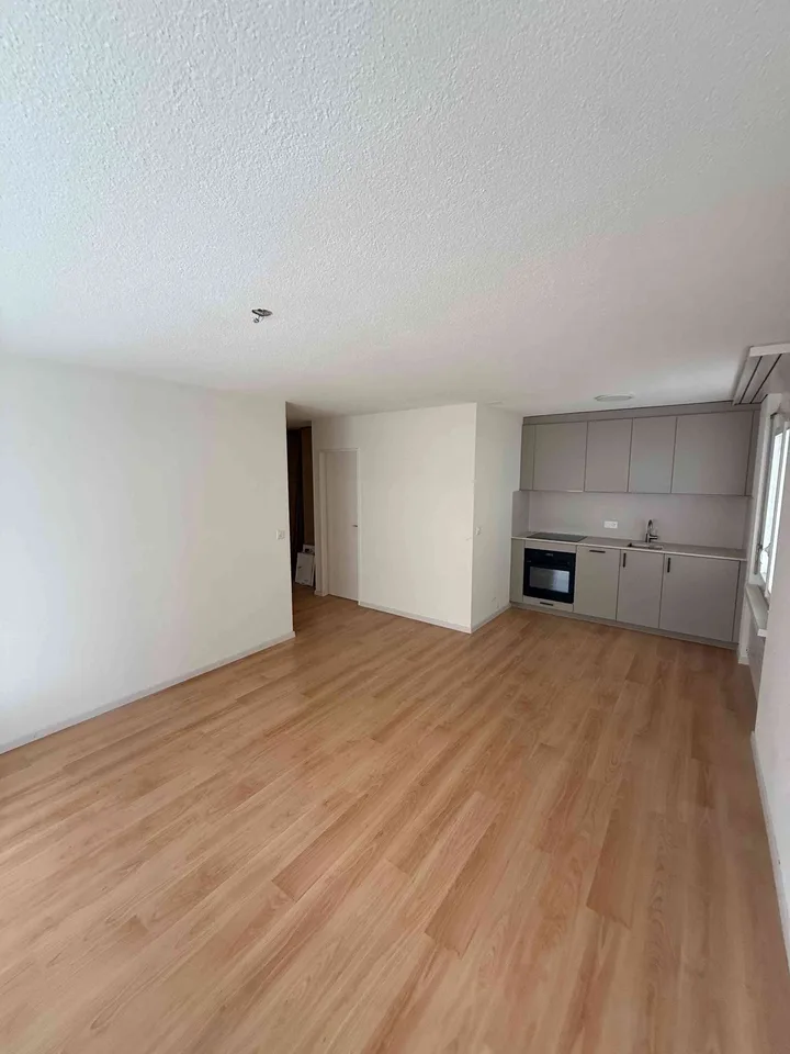 Neubezug nach Sanierung: 2.5-Zimmer-Wohnung in Schlieren – Foto 7 von 8