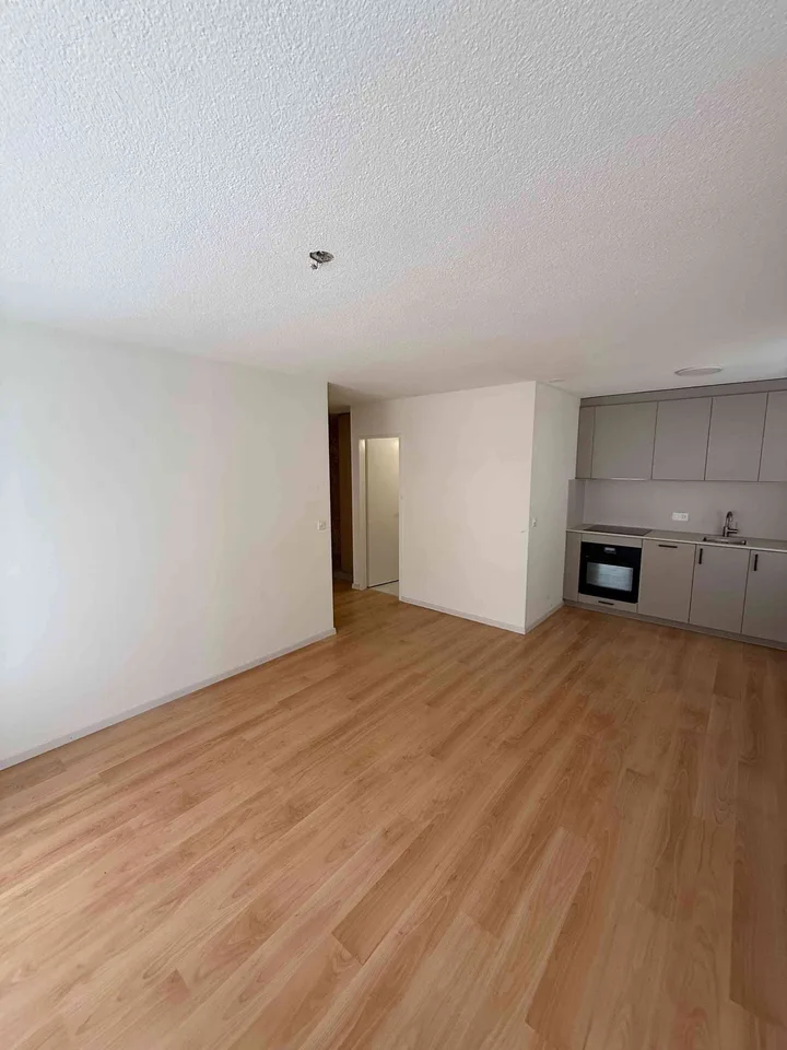 Neubezug nach Sanierung: 2.5-Zimmer-Wohnung in Schlieren – Foto 6 von 8