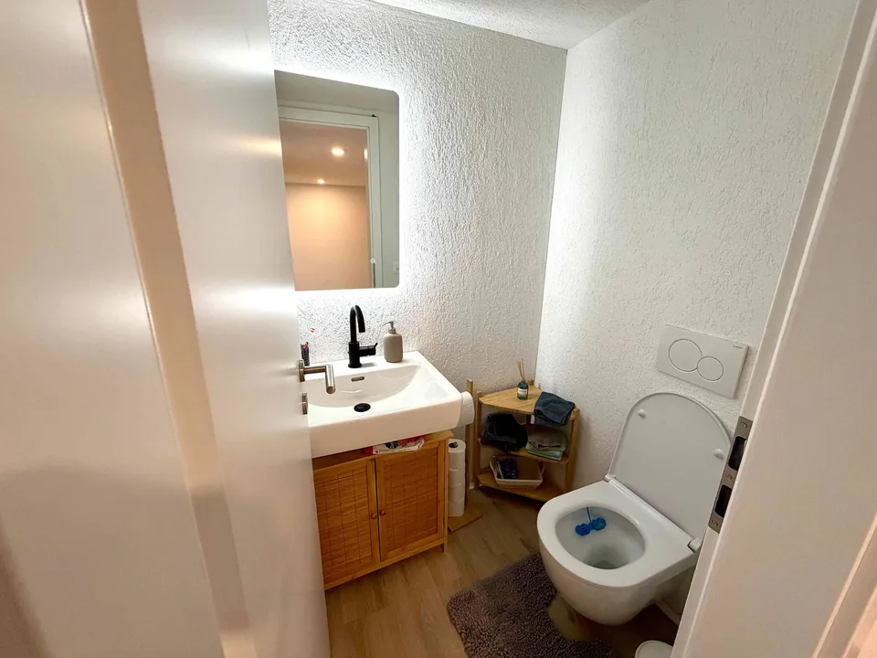 Historischer Charme, umfassend saniert – 7.5 Zimmer auf 179 m² – foto 7 di 13