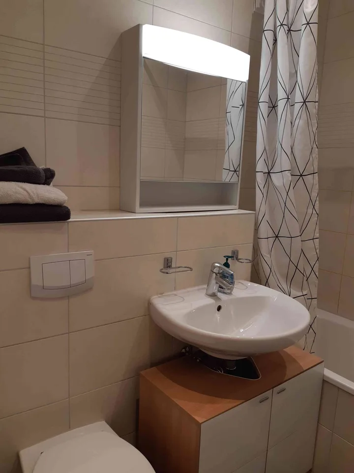Mieten Sie eine 2 ½ Zimmerwohnung in Zürich Wiedikon – Foto 8 von 11