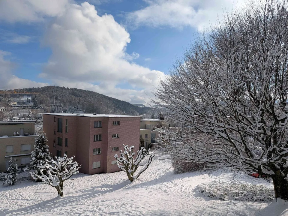Appartement 2.5 pièces à louer à Adliswil – photo 2 sur 10