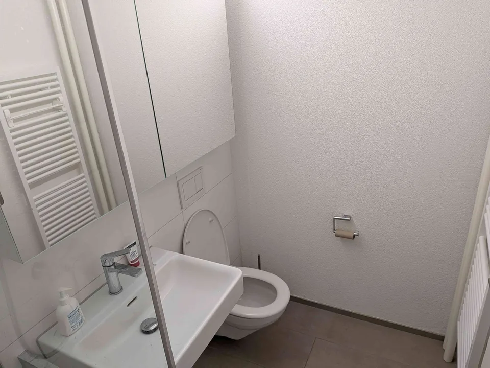 Appartement 2.5 pièces à louer à Adliswil – photo 10 sur 10