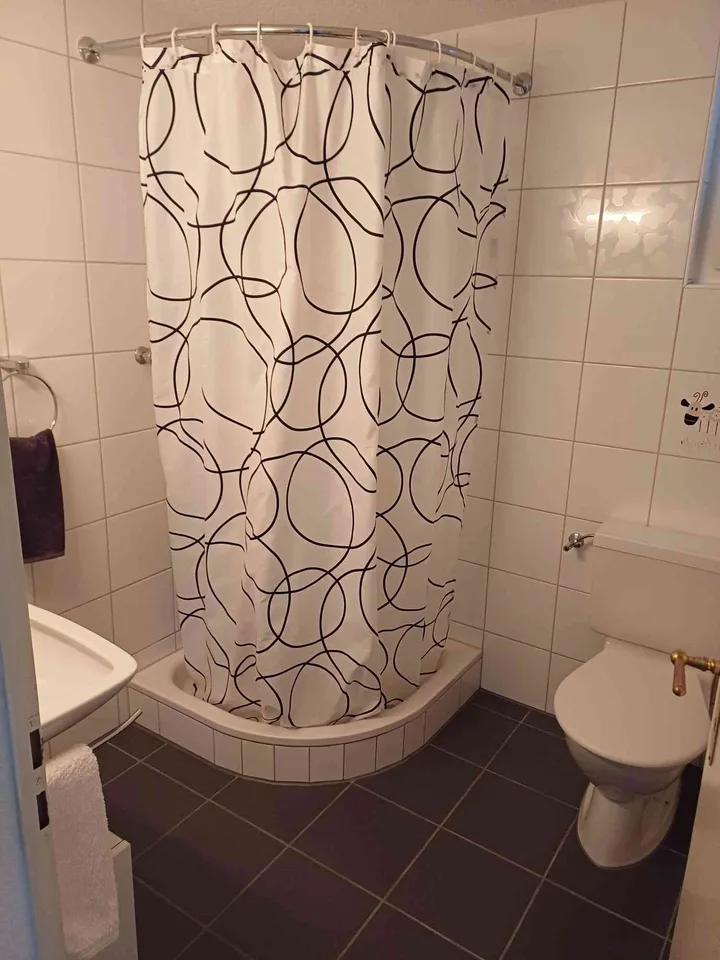 Gepflegtes Parterre - Einfamilienhaus (4,5-Zimmer) – photo 12 sur 12