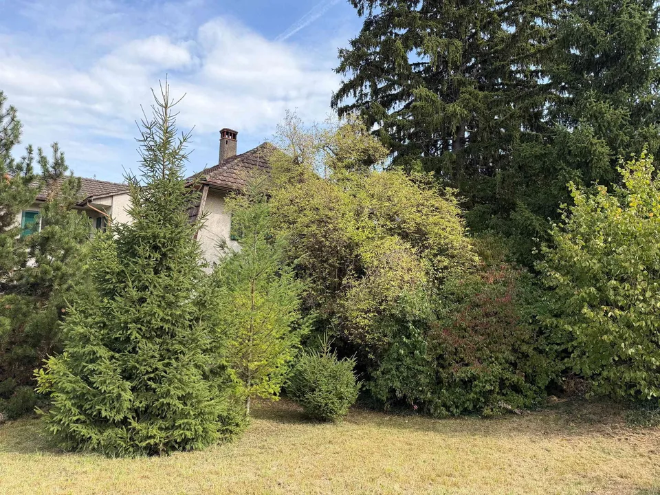 Charmante Altliegenschaft mit grossem Garten und altem Baumbestand – foto 4 di 13