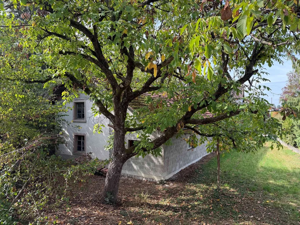 Charmante Altliegenschaft mit grossem Garten und altem Baumbestand – foto 5 di 13