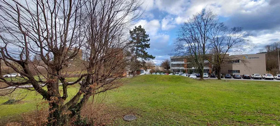 4.5 Zimmer Wohnung in Muttenz – Foto 12 von 13