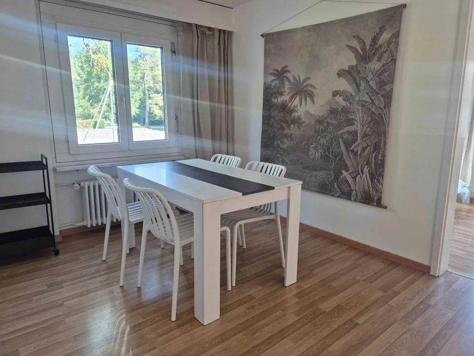 BEFRISTET: Möblierte 4.5-Zimmer-Wohnung in Langnau am Albis – foto 8 di 12