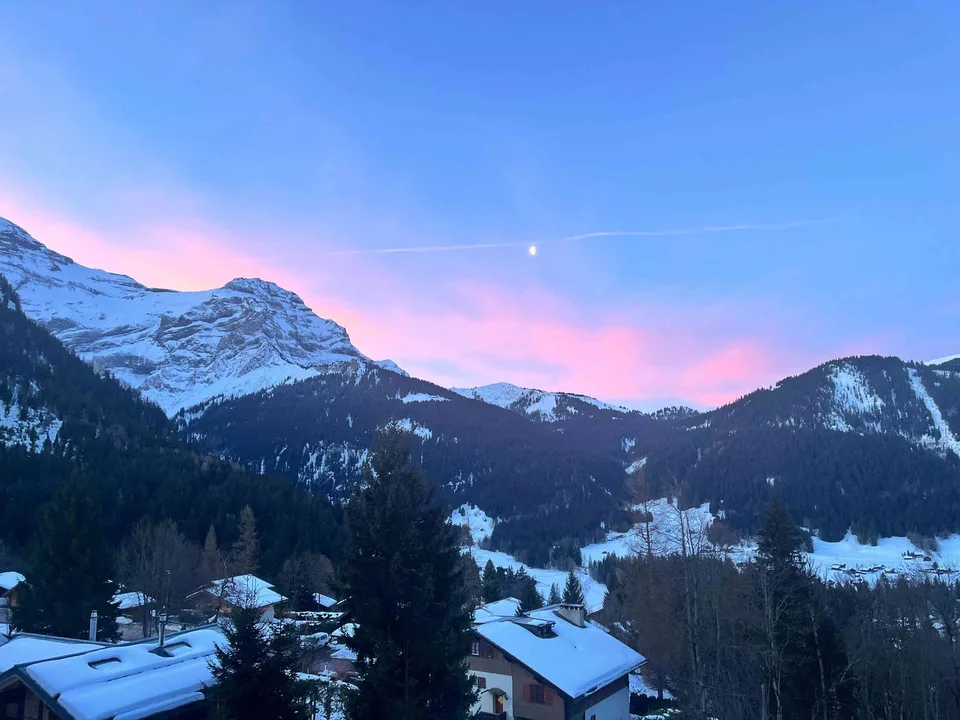 Delizioso duplex di 2,5 locali completamente rinnovato - Diablerets – foto 12 di 12