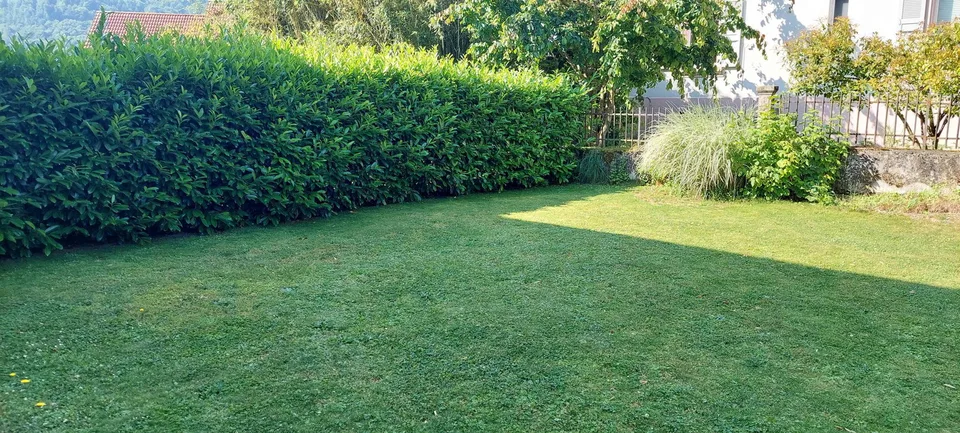 appartement de 4.5 pièces avec jardin privatif exceptionnel de 340 m2 – foto 10 di 13