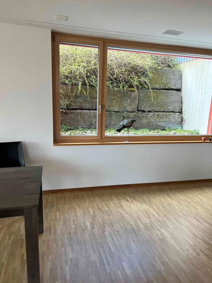 Loft / Atelierwohnung / Gewerbeobjekt in Wetzikon ZH – Foto 12 von 13