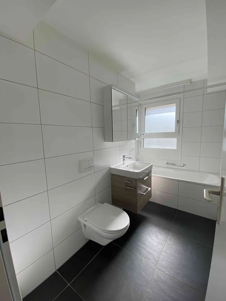 Appartamento 3.5 locali a Münchenstein – Cercasi subaffittuario – foto 9 di 18
